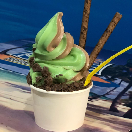 Island Frozen Yogurt Bar